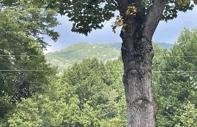 182 Laurel Branch Road Gallery 2