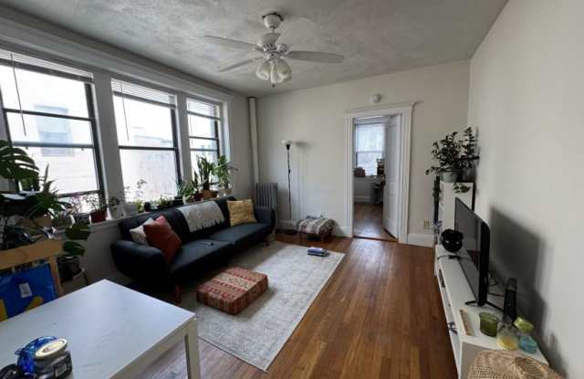 Carol Avenue photos photos