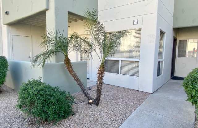 Ground Floor 1 Bedroom 1 Bathroom in Lakeshore @ Anderson Springs photos photos