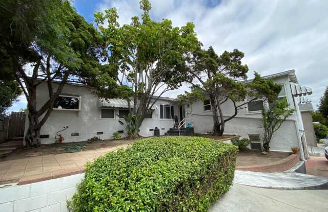 Large House!! Quick walk to campus!! photos photos