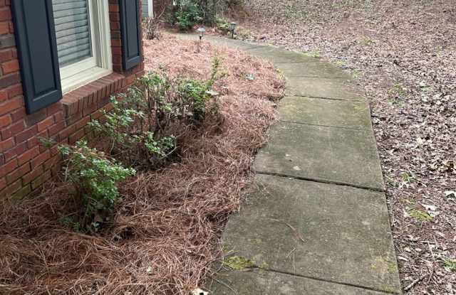 Cute house in Harris County off Fortson Road in Whispering Pines Subdivision Gallery 3