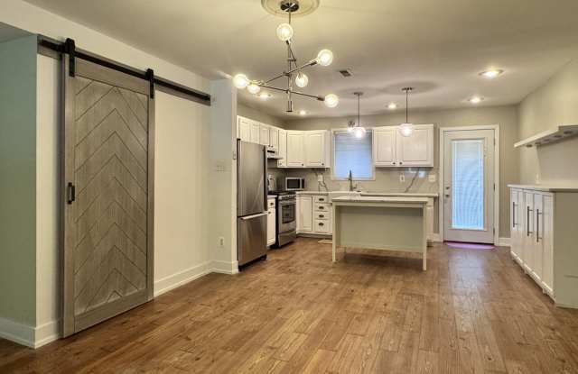 Spacious Passyunk Square Home with Finished Basement & Patio photos photos