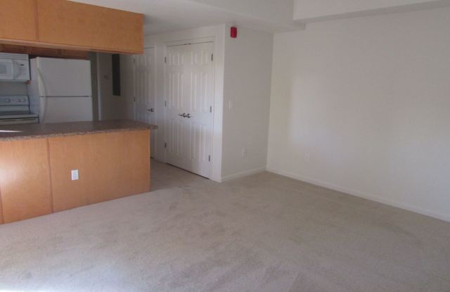 MOVE IN SPECIAL! $500 off the first month full rent! Gallery 3