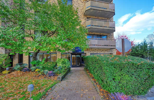 141 Great Neck Road unit: 1F photos photos