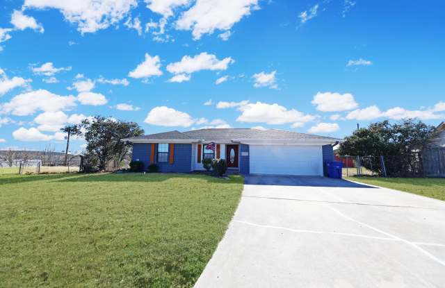 203 Chestnut Dr photos photos