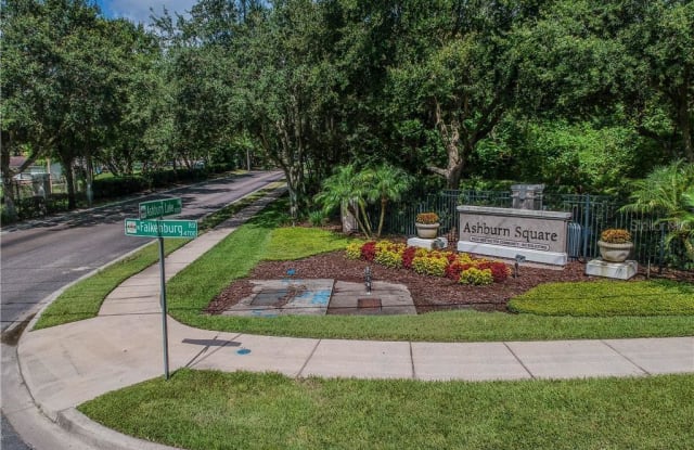 9964 Ashburn Lake Drive - 9964 Ashburn Lake Drive, East Lake-Orient Park, FL 33610