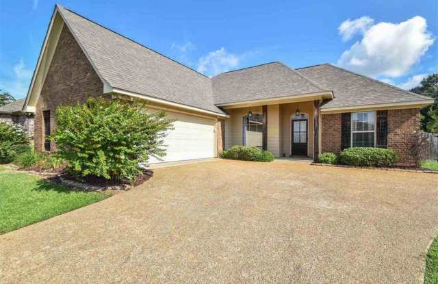 3 Bed / 2 Bath Home in Northwind in Gluckstadt Gallery 4