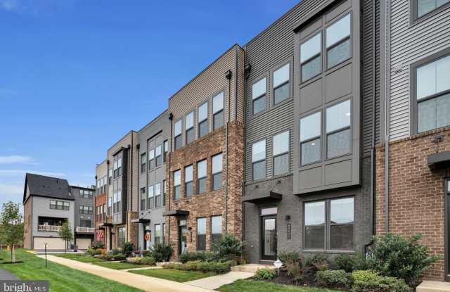 43402 THREE FORKS TERRACE Gallery 2