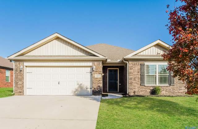 127 Walkers Hill Road - 127 Walkers Hill Road, Meridianville, AL 35759