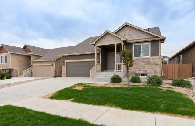South Fort Collins 3 bedroom home photos photos South Fort Collins 3 bedroom home photos photos