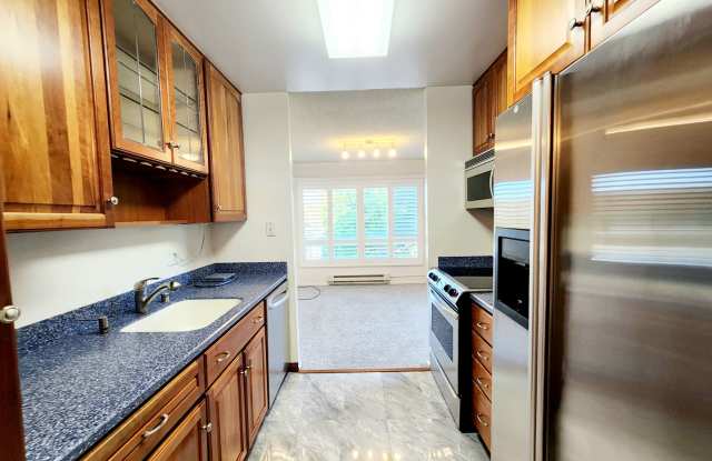 Large Woodlake condominium with big frontage balcony - 803 North Humboldt Street, San Mateo, CA 94401
