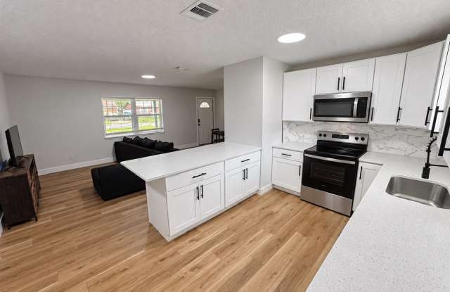 Beautifully Remodeled 4-Bedroom Home with a Huge Fenced Backyard! Gallery 4