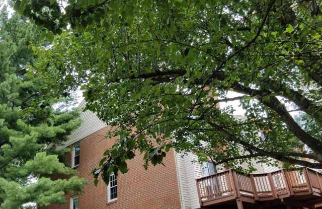 7238 TAVESHIRE WAY Gallery 2