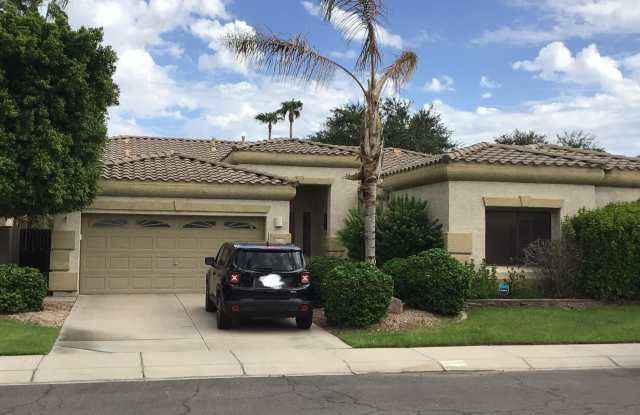 674 W Desert Broom Drive Gallery 1