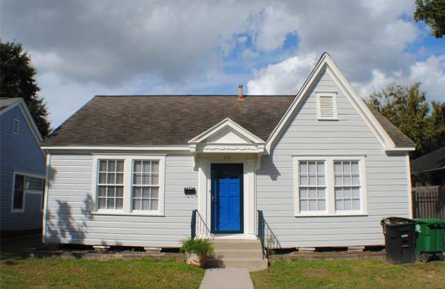 717 E 16th Street - 717 East 16th Street, Houston, TX 77008
