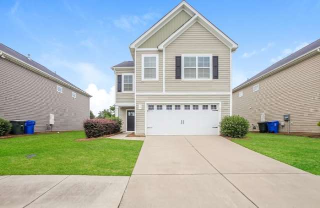 79 Blue Fescue Way - 79 Blue Fescue Way, Columbia, SC 29209