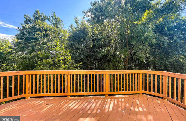22322 GREAT TRAIL TERRACE Gallery 2