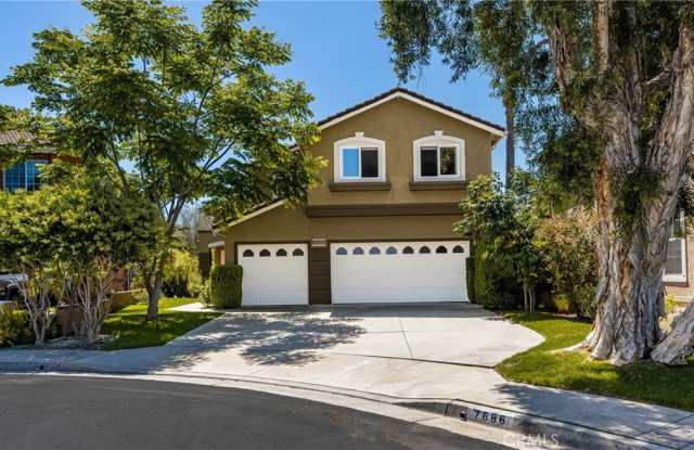 7686 E Big Canyon Drive photos photos