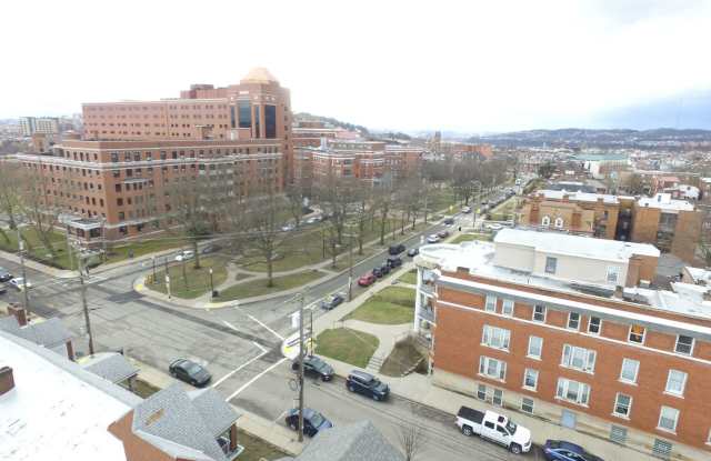 4925 Friendship Ave. Apt. 6 - 4925 Friendship Avenue, Pittsburgh, PA 15224