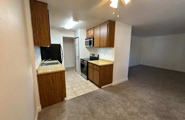 2 Bed, 1 Bath Apartment in Reno photos photos