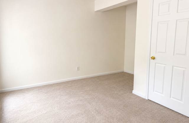 913 Tiger Lane Gallery 4