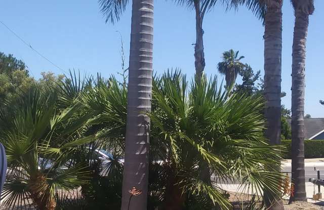 368 Grapevine Road - 368 Grapevine Road, Vista, CA 92083