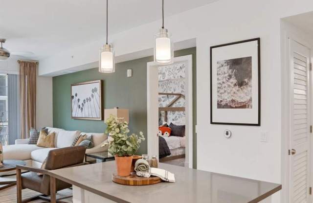 Palmera Gallery 3