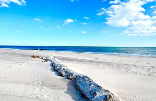 253 Dune photos photos