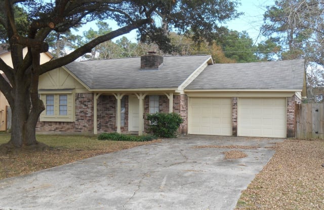 23102 Spring Willow Drive - 23102 Spring Willow Drive, Harris County, TX 77375
