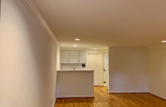 1771 T St NW Unit 1 Gallery 3