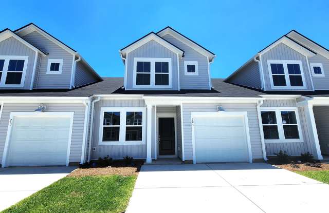 205 Brackish Drive - 1 photos photos