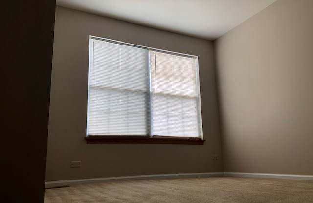 13361 Heiden Circle Gallery 4