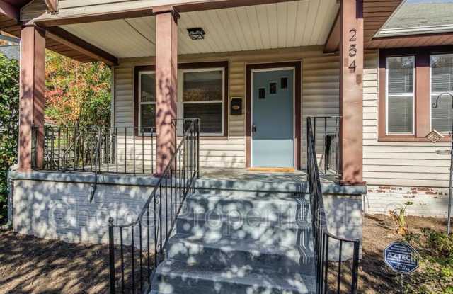 254 W Park Ave - 254 West Park Avenue, Charlotte, NC 28203
