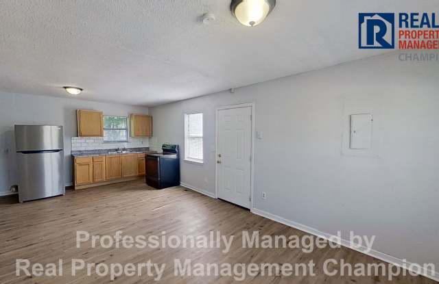 Recently Renovated 3 BD/1 BA Home Next to Castle Street Art District Gallery 3