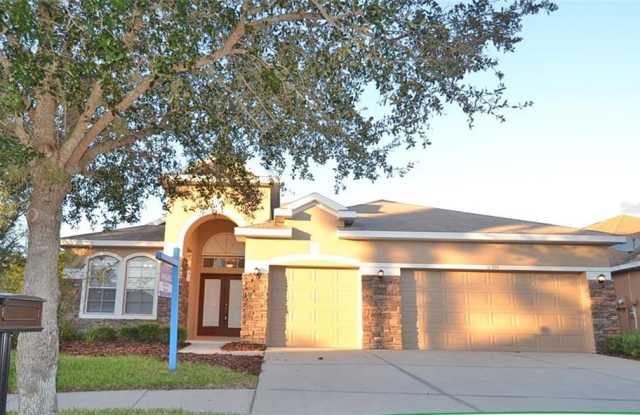 16304 BRIDGELAWN AVENUE - 16304 Bridgelawn Avenue, Fish Hawk, FL 33547