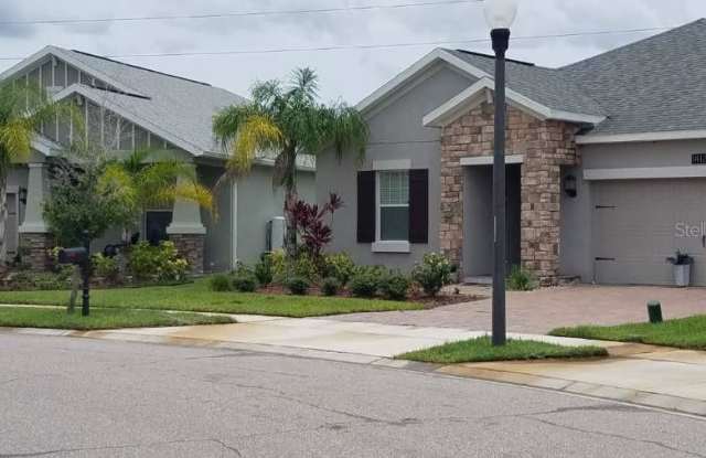 14127 GOLD BRIDGE DRIVE - 14127 Gold Bridge Drive, Meadow Woods, FL 32824