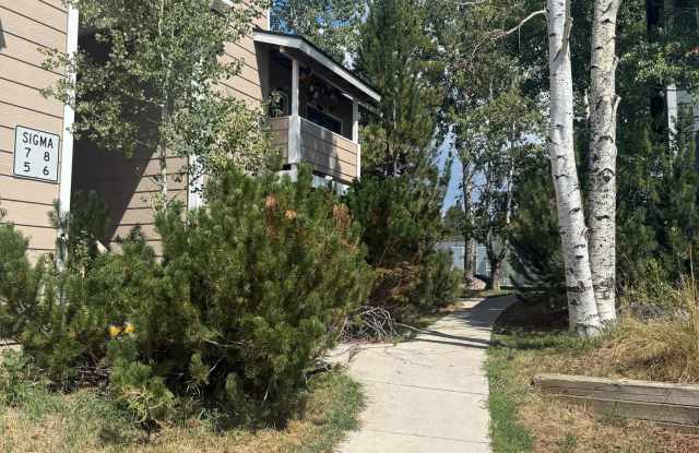 1 Bedroom for Lease Walton Village Steamboat Springs photos photos