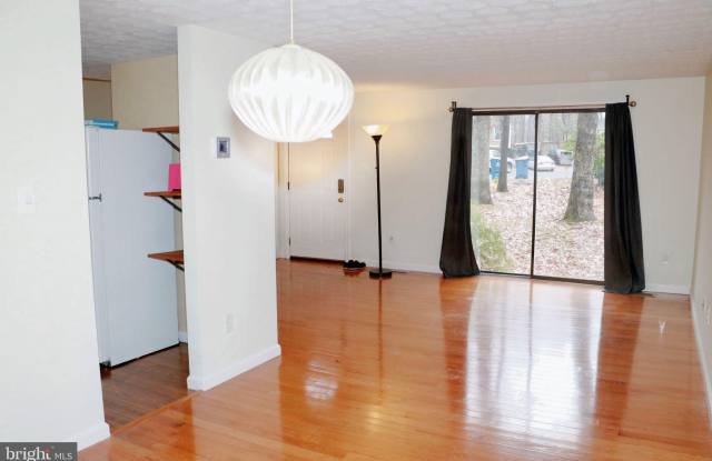 12303 TIGERS EYE COURT Gallery 4