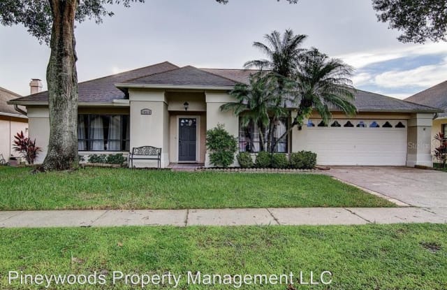 18315 Cypress View Way - 18315 Cypress View Way, Pebble Creek, FL 33647