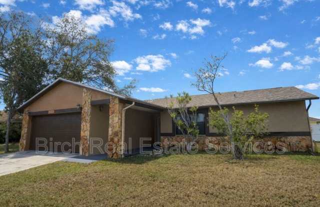 2419 Mondale Court - 2419 Mondale Court, Holiday, FL 34691