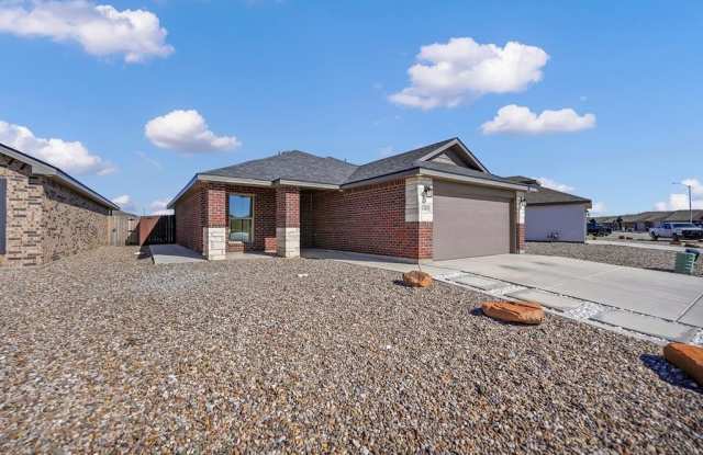 1305 E 94th St - 1305 East 94th Street, Ector County, TX 79765