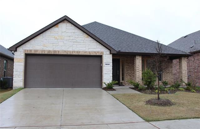 5010 Flanagan Drive - 5010 Flanagan Dr, Travis Ranch, TX 75126