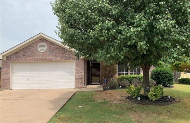 4201 Beryl Lane - 4201 Beryl Ln, Granbury, TX 76049