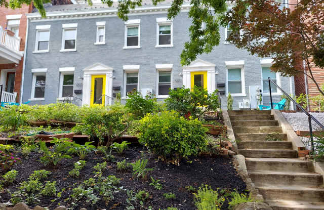 1201 Euclid Street NWApt #1 photos photos