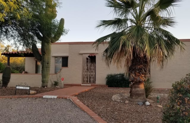 7222 E Camino Vecino - 7222 East Camino Vecino, Tucson, AZ 85715