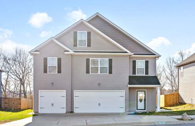 1180 Henry Place Blvd - 1180 Henry Place Boulevard, Clarksville, TN 37042