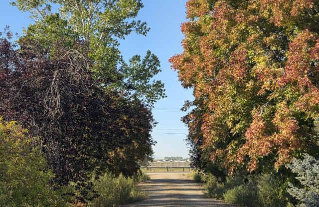 2715 East Deer Flat Road Gallery 3