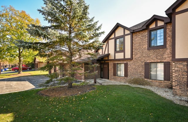1723 Lakecliffe Drive - 1723 Lakecliffe Drive, Wheaton, IL 60189