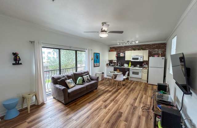 Lofts at West University #201 photos photos