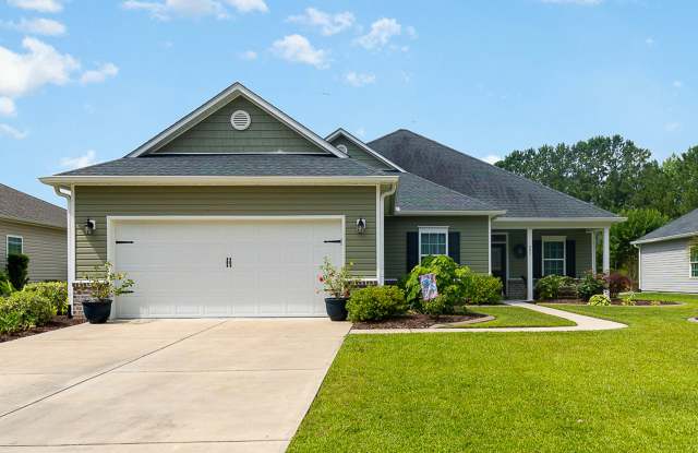 231 Belclare Way - 231 Belclare Way, Longs, SC 29568